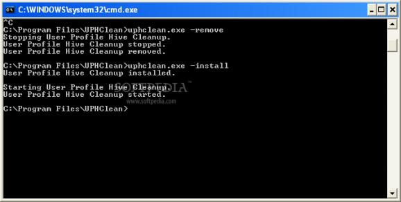 Microsoft User Profile Hive Cleanup Service screenshot