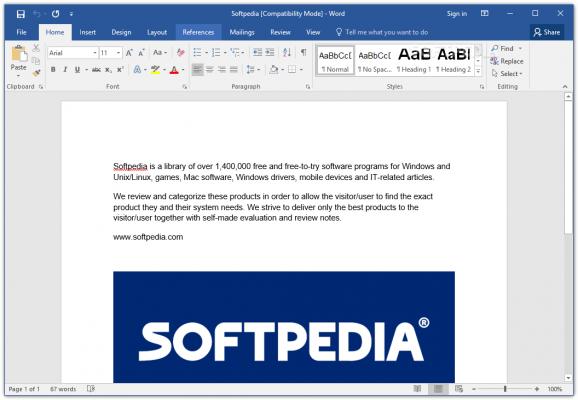 Microsoft Word screenshot