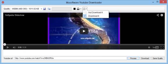 Musoftware Youtube Downloader screenshot