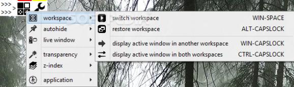 Mywe Desktop Manager screenshot