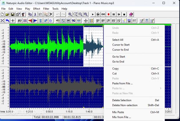 Naturpic Audio Editor screenshot