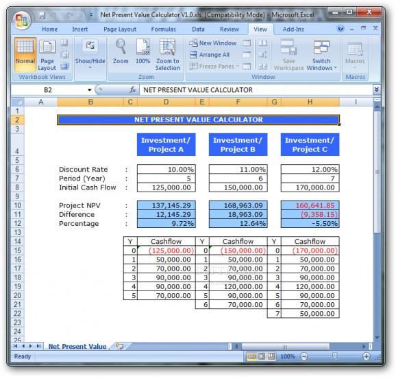 Net Present Value Calculator screenshot