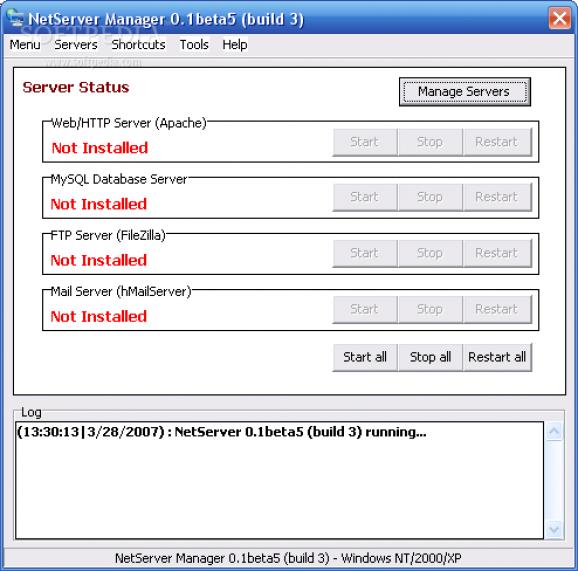 NetServer screenshot