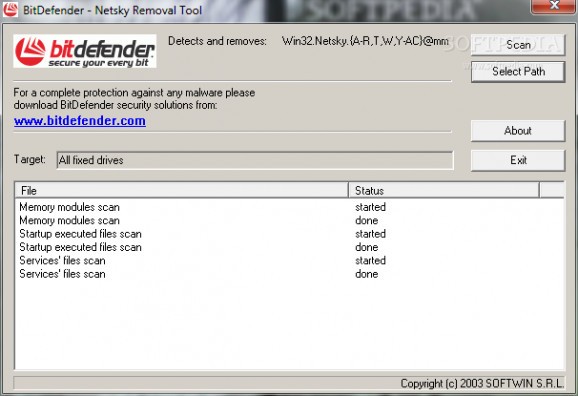 Netsky Removal Tool screenshot