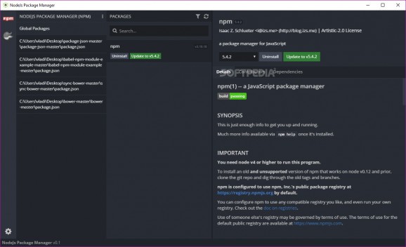 NodeJs Package Manager screenshot