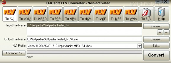 OJOsoft FLV Converter screenshot