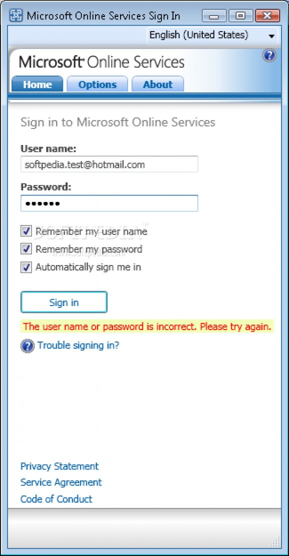 Microsoft Online Services Sign In screenshot