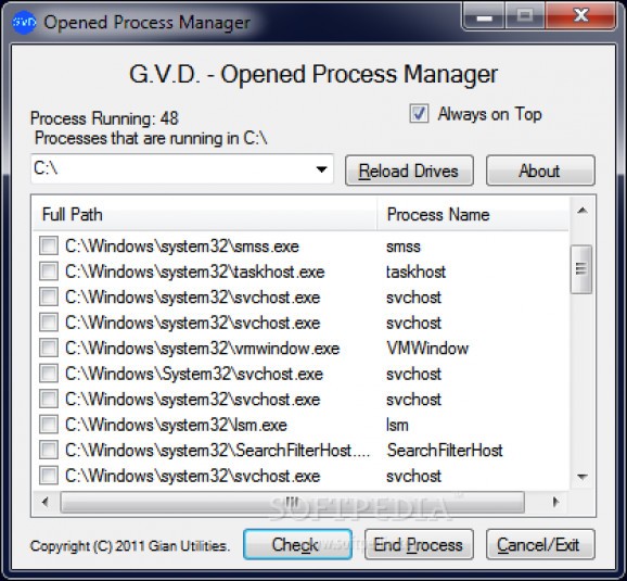 Opened Process Manager screenshot