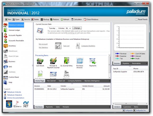 Palladium Accounting Individual screenshot