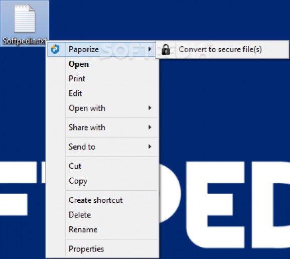 Paporize SecureViewer screenshot