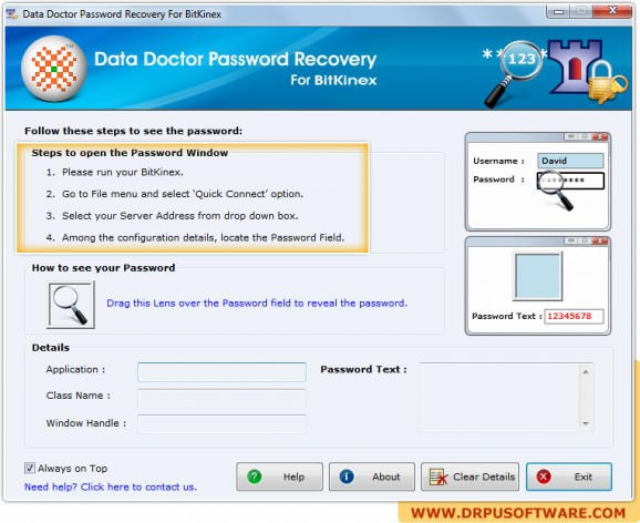 Password Recovery Software For BitKinex screenshot