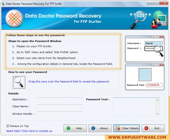 Password Recovery Software For FTP Surfer screenshot