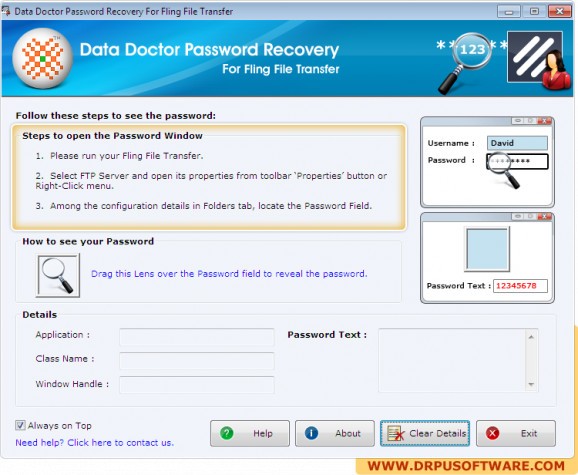 Password Recovery Software For Fling File Transfer screenshot