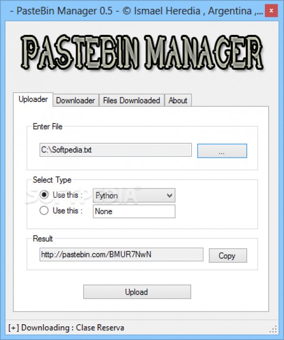 PasteBin Manager screenshot