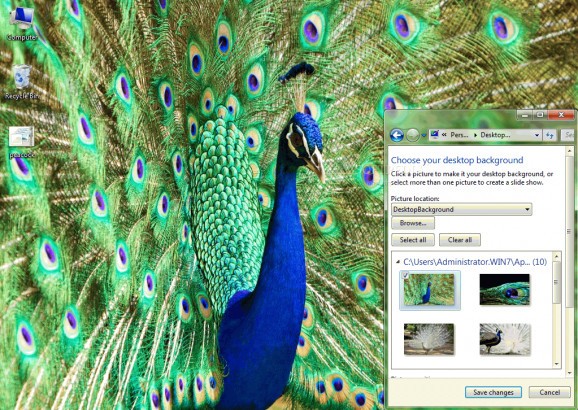 Peacock Windows 7 Theme screenshot