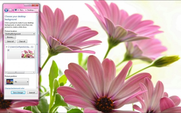 Pink Daises screenshot