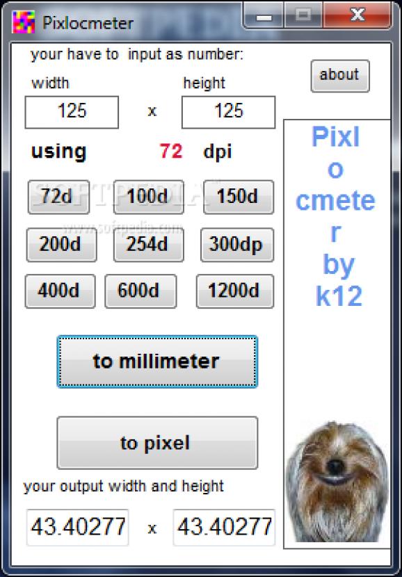 Pixlocmeter screenshot