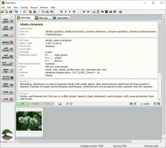 Deeproot Plant Base screenshot