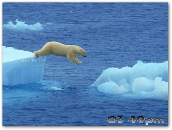 Polar Bears Free Screensaver screenshot