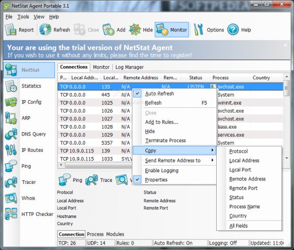 Portable NetStat Agent screenshot
