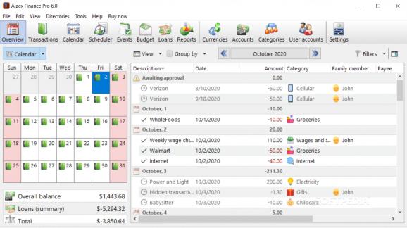 Portable Alzex Personal Finance Pro screenshot