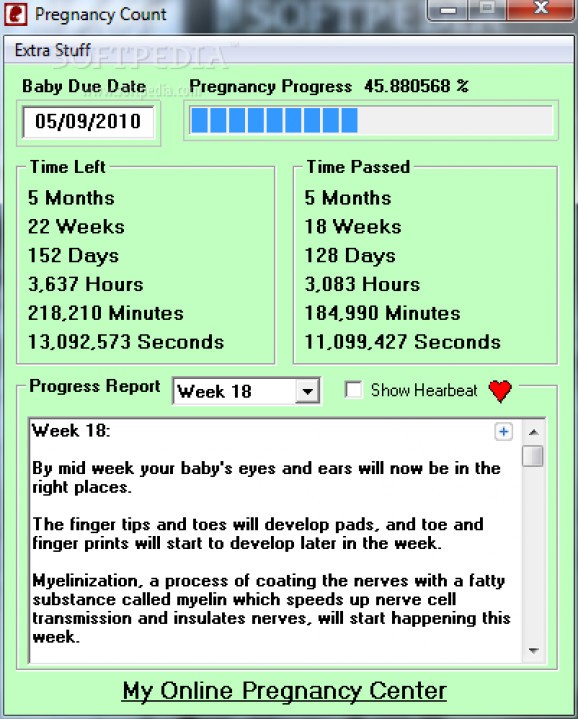 Pregnancy Countdown screenshot