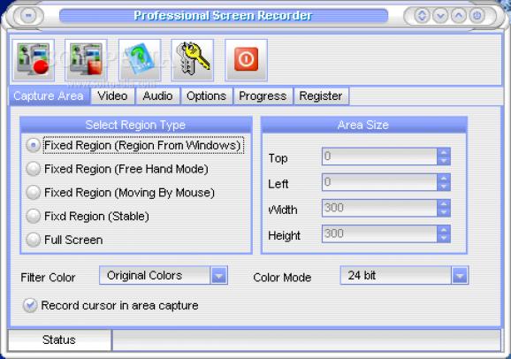 Professional Screen Recorder screenshot