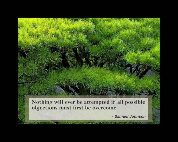 Quotes and Nature Screensaver screenshot