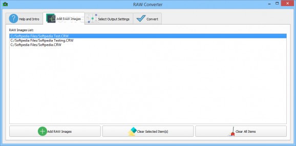 RAW Converter screenshot