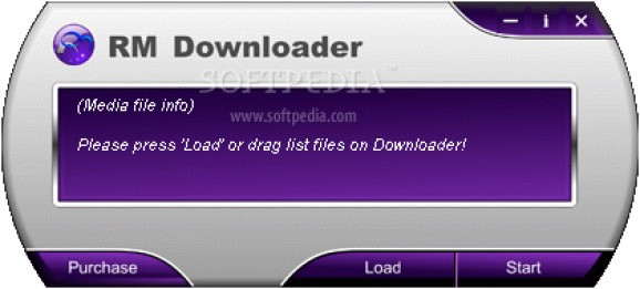 RM Downloader screenshot