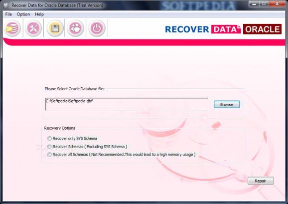 Recover Data for Oracle Database screenshot