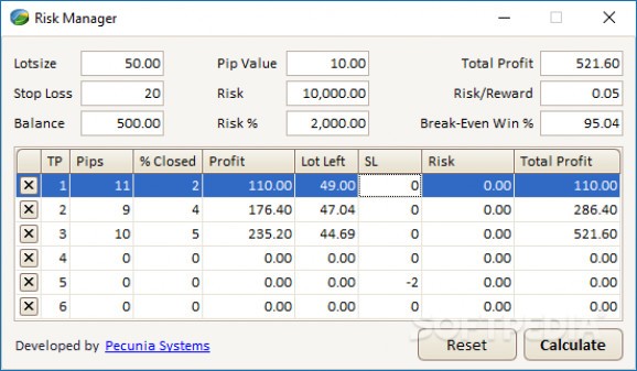 Risk Manager screenshot