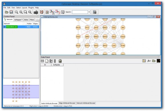 SLiMScape for Cytoscape screenshot