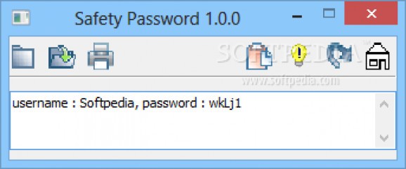 Safety Password screenshot
