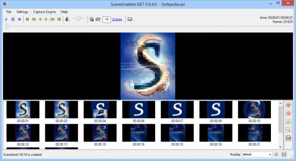 Scenegrabber.NET screenshot