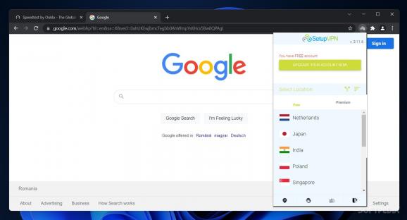 SetupVPN for Chrome screenshot