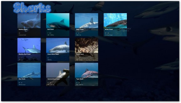 Sharks RT screenshot
