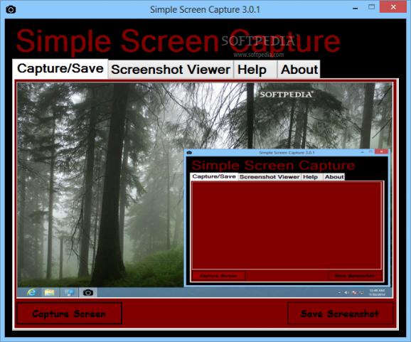 Simple Screen Capture screenshot