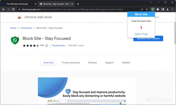 Block Site - Stay Focused screenshot