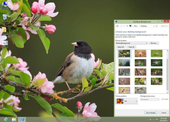 Small Birds Theme screenshot