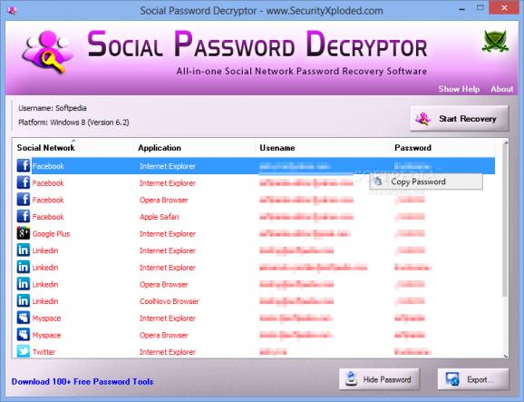 Social Password Decryptor Portable screenshot