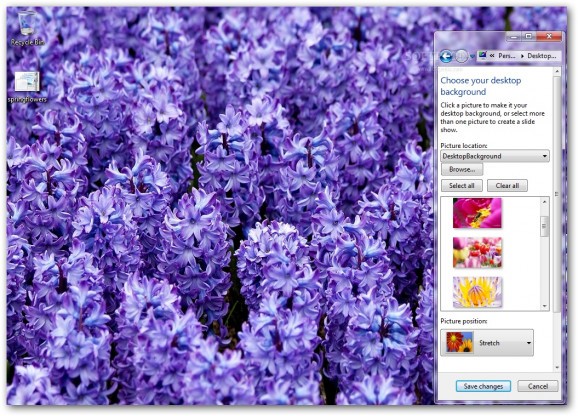 Spring Flowers Windows 7 Theme screenshot