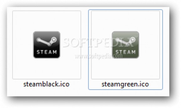Steam Icon screenshot