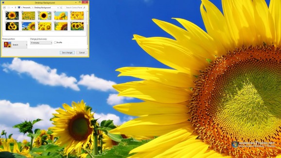 Sunflower Windows 7 Theme screenshot