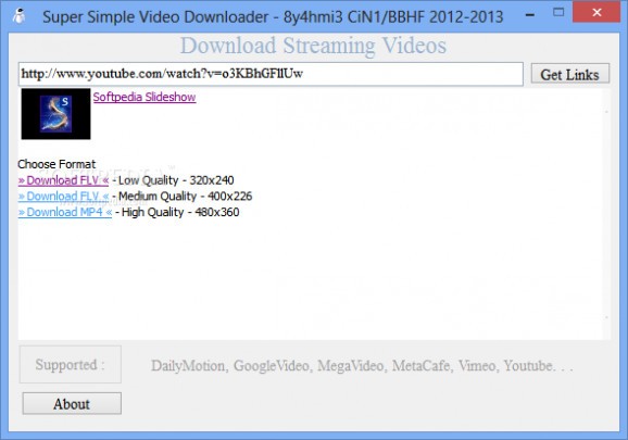 Super Simple Video Downloader screenshot