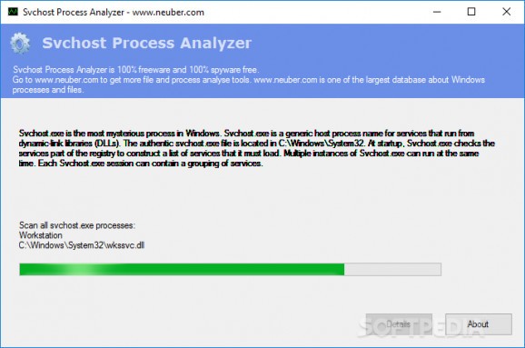 Svchost Process Analyzer screenshot
