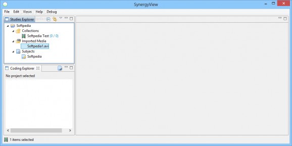 SynergyView screenshot
