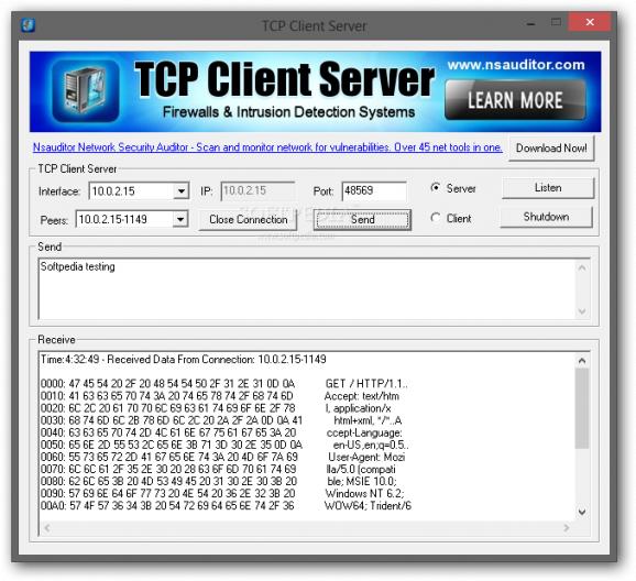 TCP Client Server screenshot
