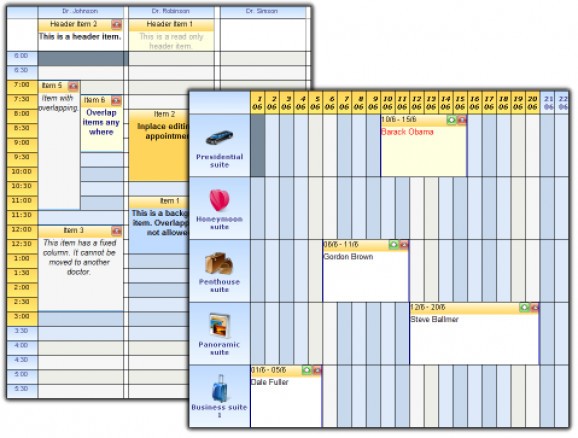 TMS IntraWeb Planner screenshot
