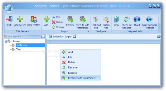 TSM Script Editor screenshot